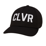 CLVR 2